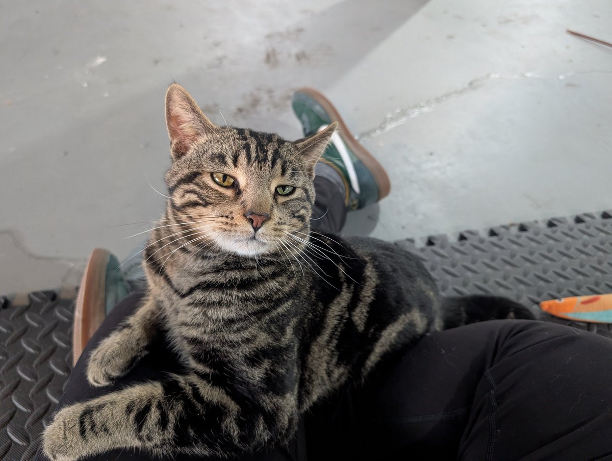 ✨dea✨ is forever blowing bubbles 🇵🇸 tweet media