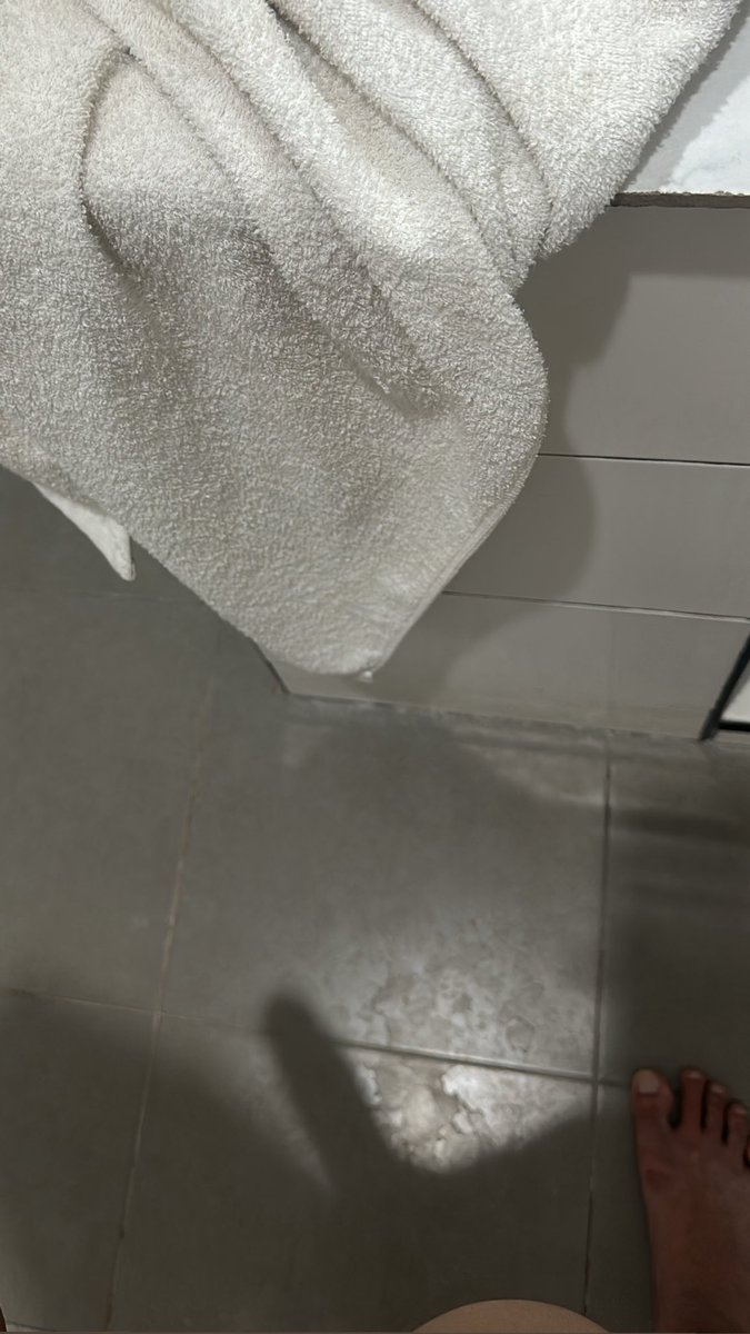 แมวแอบเล่น tweet media