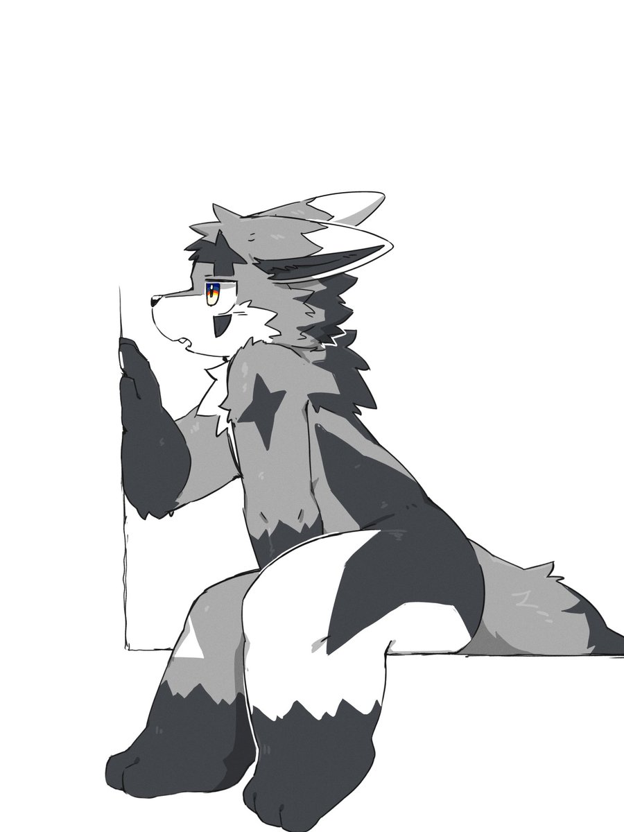 🌮ハルアキ🌮 tweet media