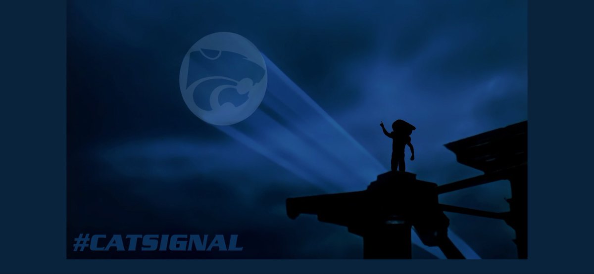 Guillermo el Gato tweet media