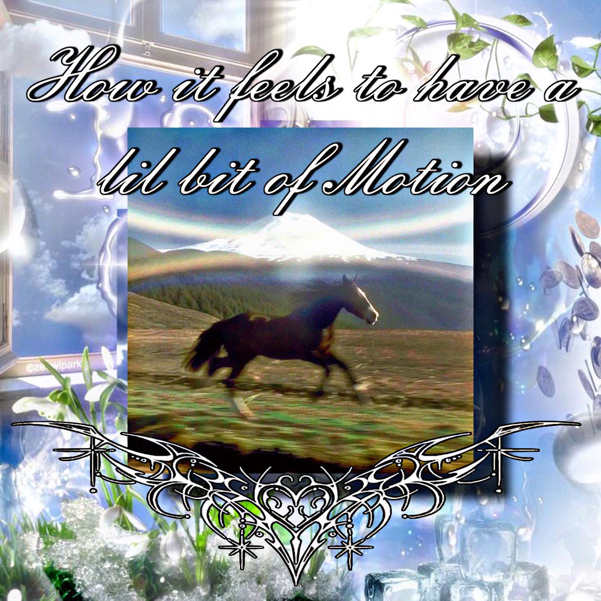 Maotion Ⓜ️🌊 tweet media