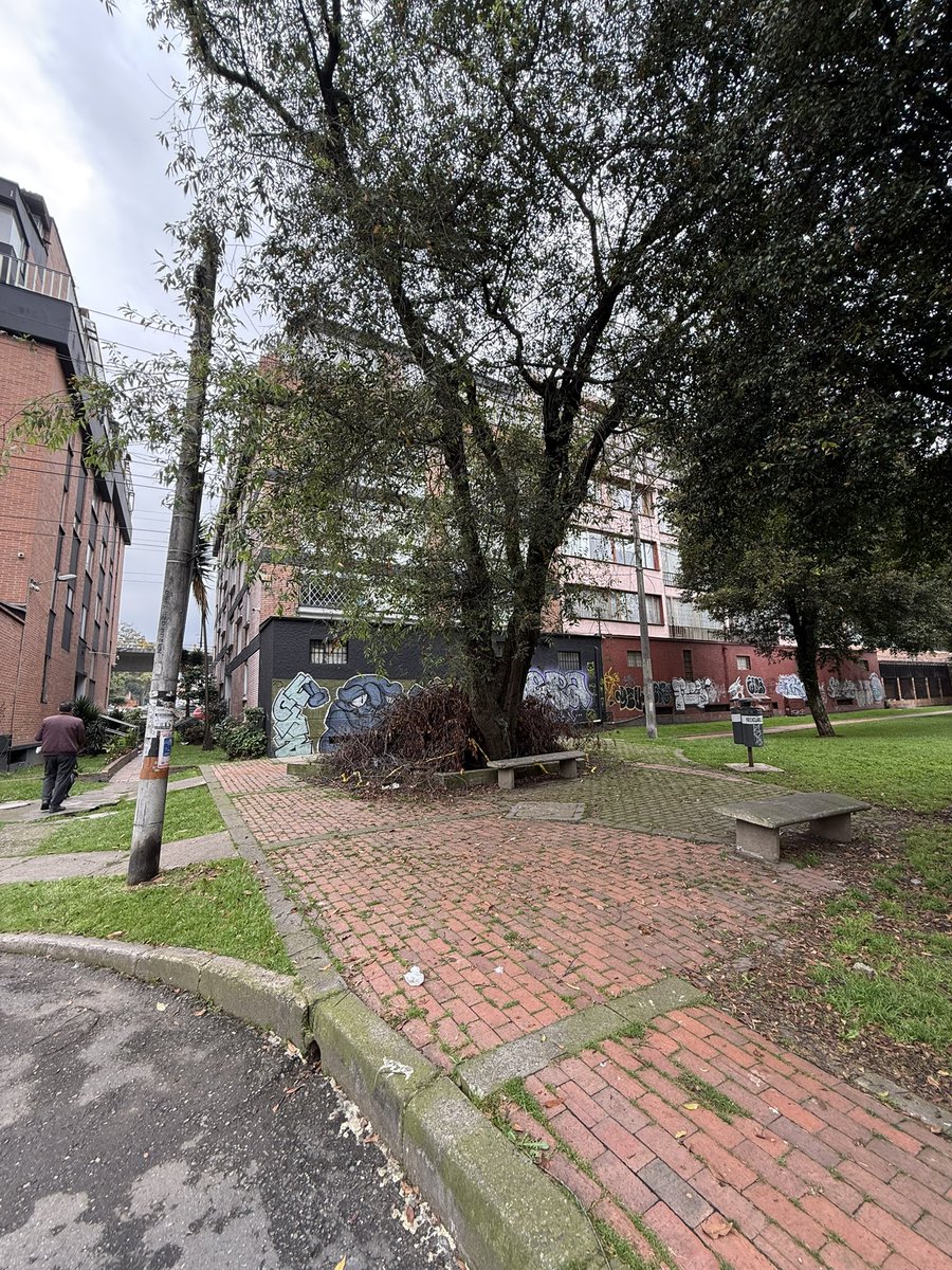 Alejandro Zamora - Edil Teusaquillo tweet media