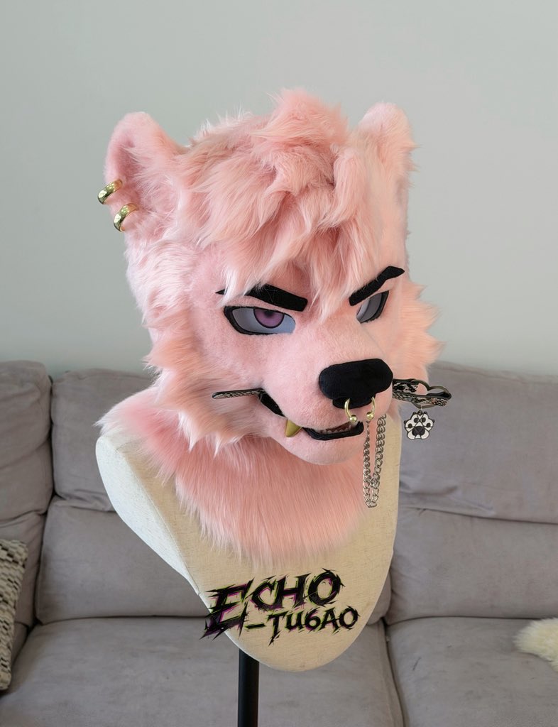 echo_Tu6ao tweet media