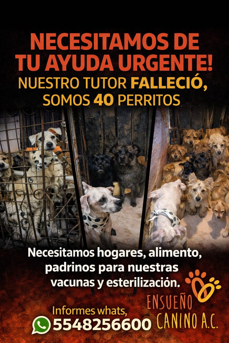 APASDEM, A.C. tweet media