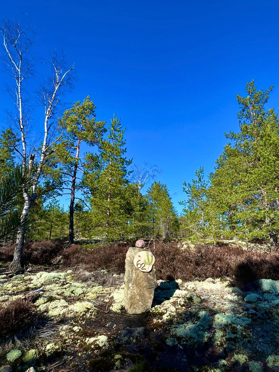 Satu Karlin 🕊 tweet media