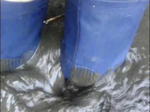 ぽん@香川うどん県🍜引っ越しました🙇♂️64天安門🔥台湾独立🇹🇼 tweet media