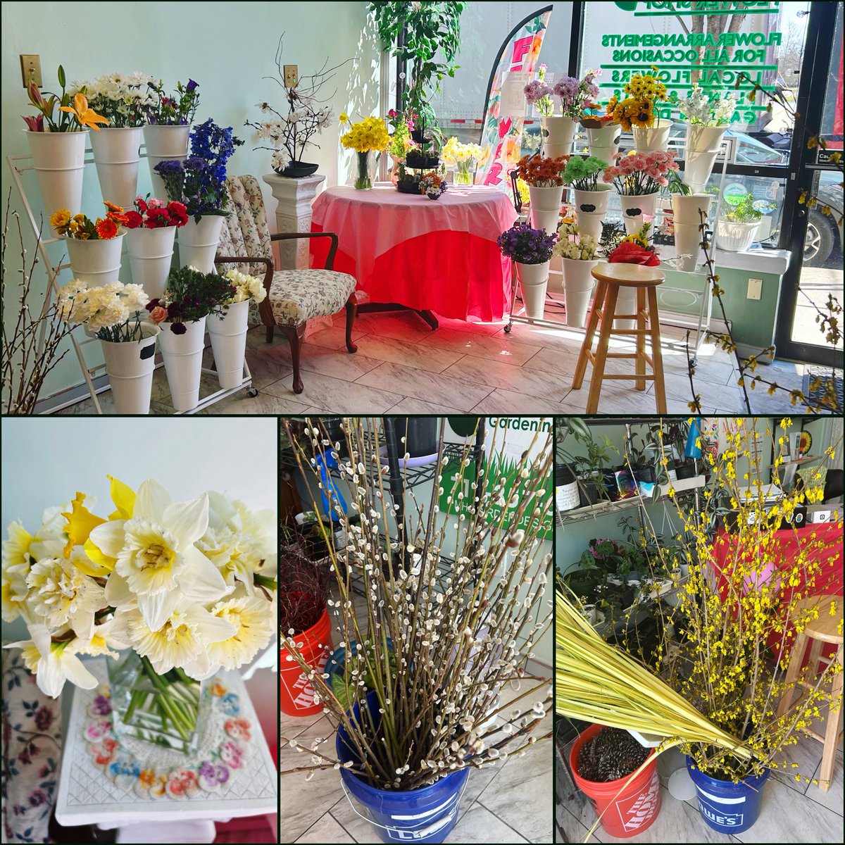 Marann H. Jones Flower Shop & Garden Design 💐 tweet media