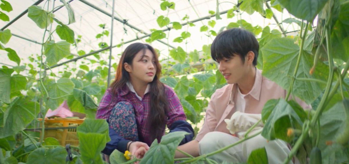 𝗦𝗔𝗥𝗔 tweet media