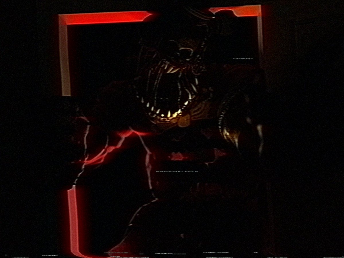 Recloose tweet media