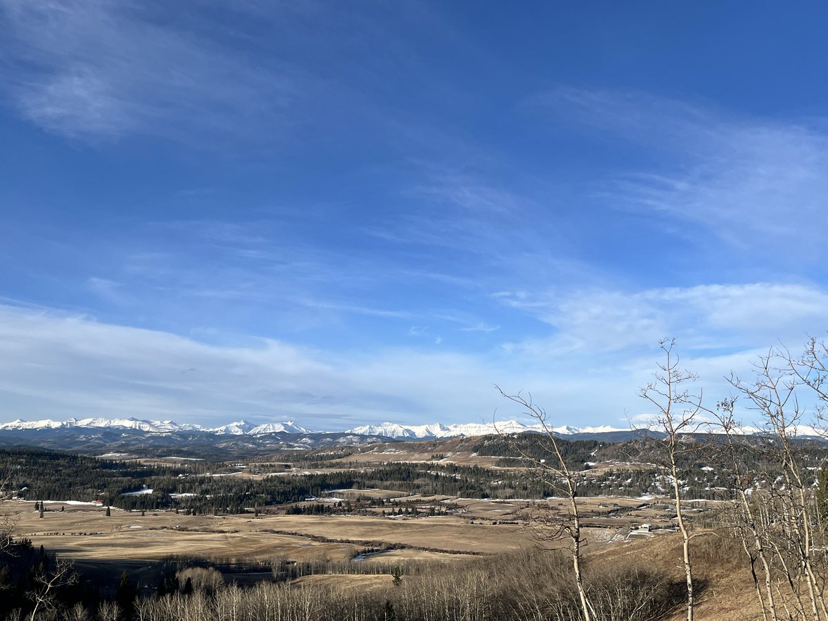 michelle d tweet media