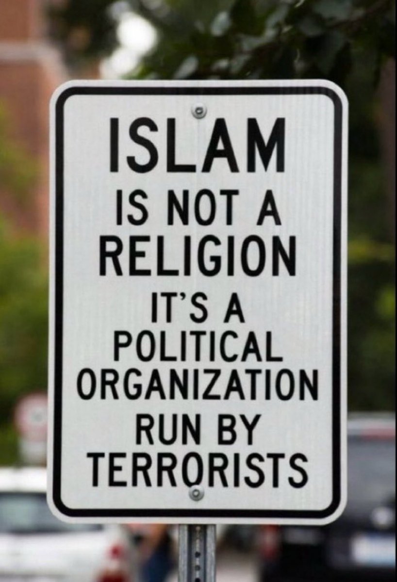 🌴🌞🇺🇸 Florida Mama🇺🇸🌞🌴 tweet media