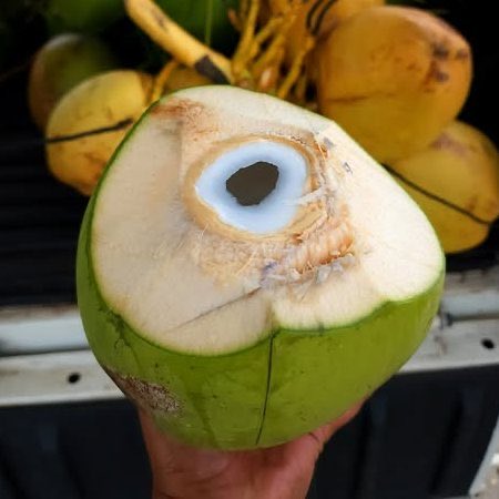 Indie 505 tweet media