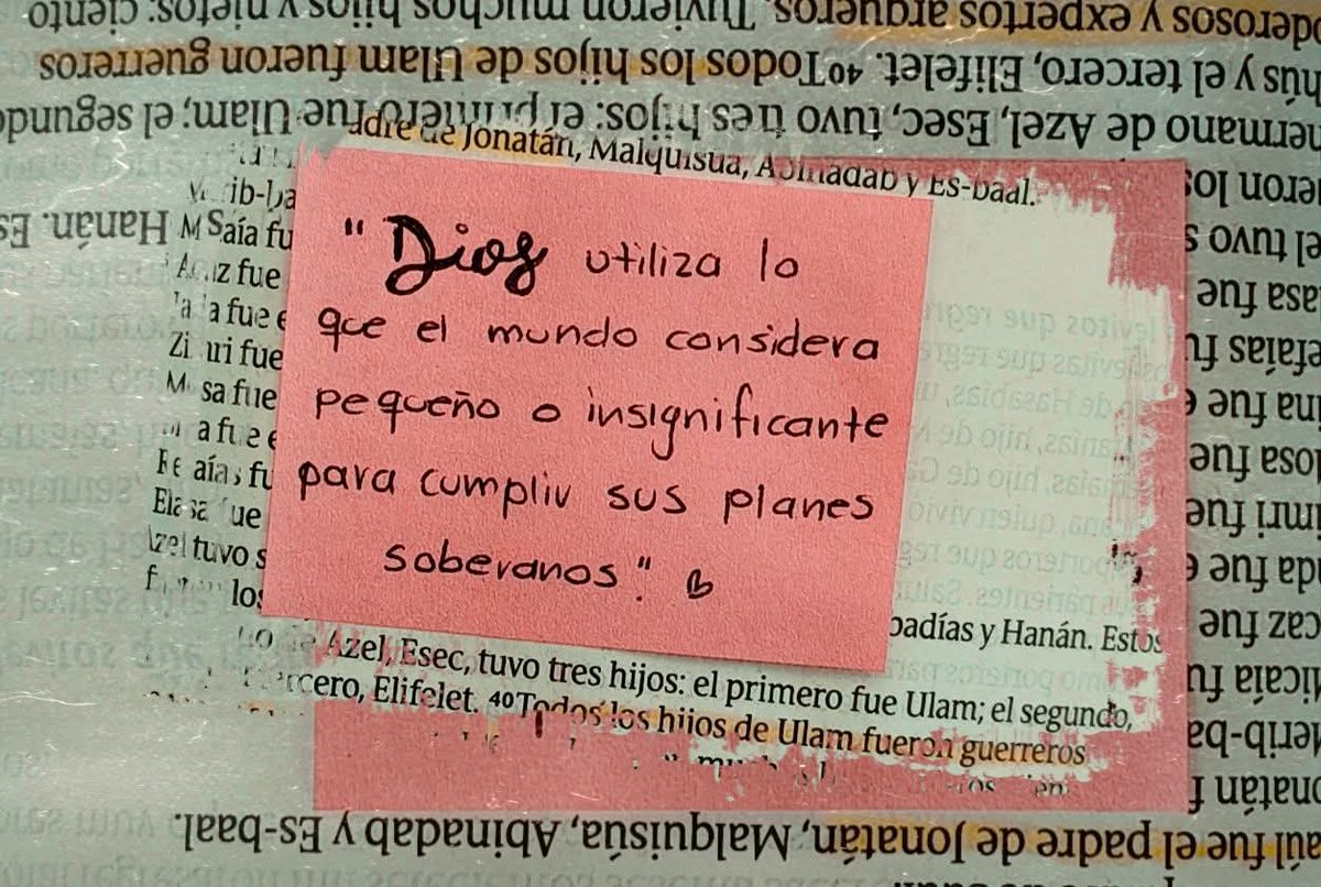 1 Crónicas 8. Nuestra pequeñez es una oportunidad para que los demás vean la grandeza de Dios en nuestra vida 🥹❤️🙌🏽

#rpsp