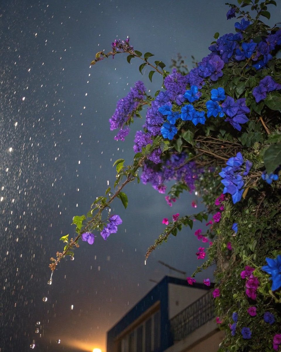 1”صمتـ🌸 tweet media