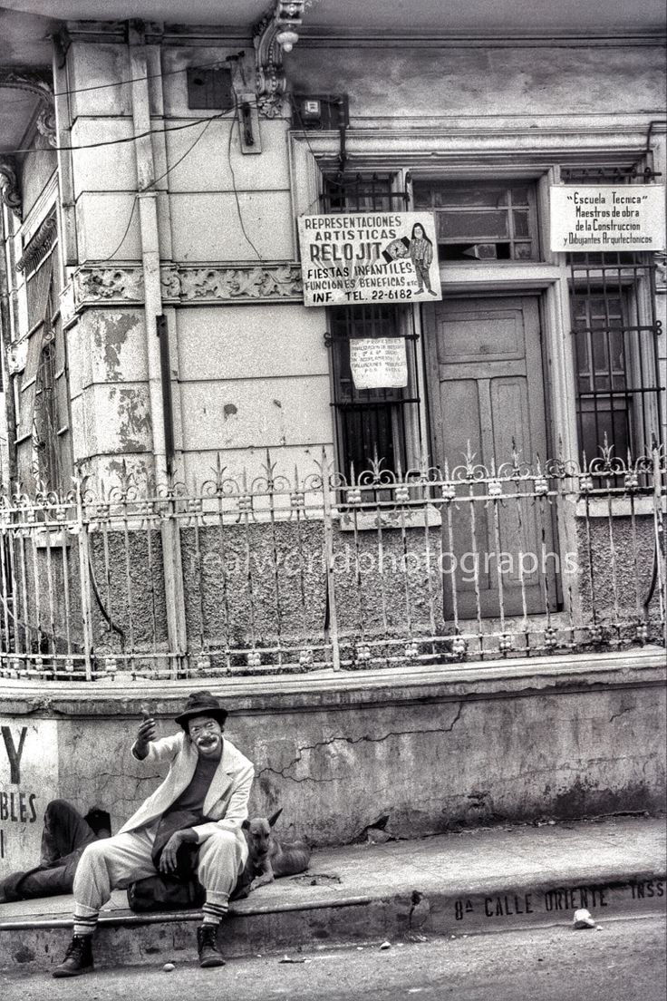 Real World Photographs tweet media