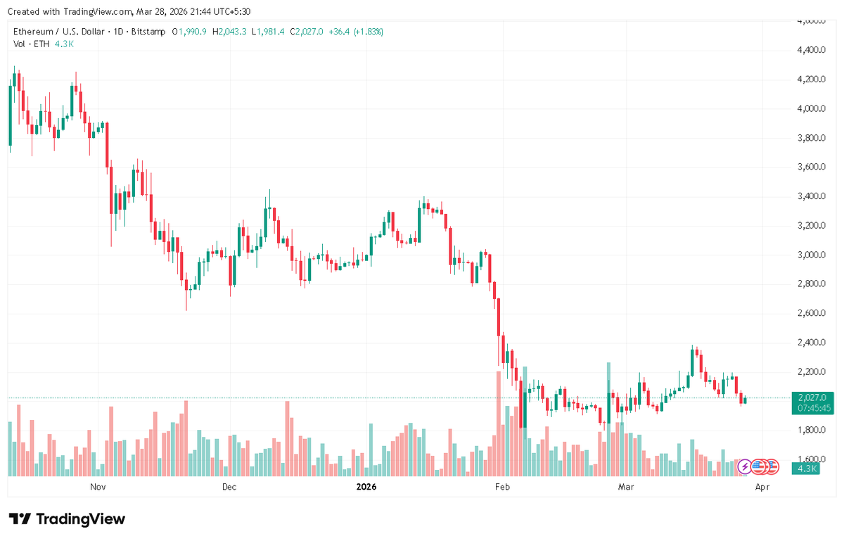 Crypto Invest Now tweet media