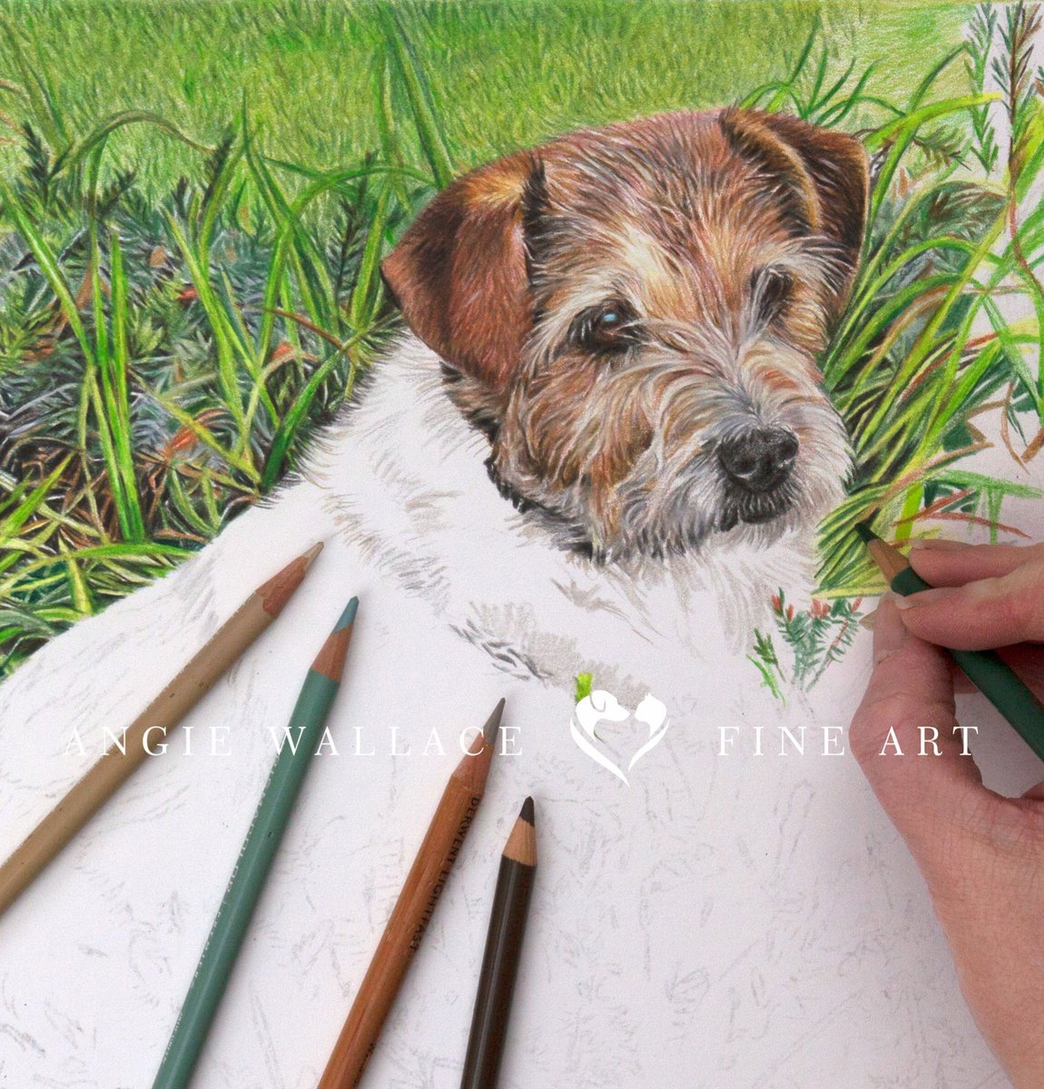 AngieWFineArt's tweet image. The past couple of days I've been working on gorgeous Molly. 
When she was a puppy, she loved to dig in the Heather bed, so it was always 'Molly's Heather'. When she got older, she would sit in the Heather and pose. 
angiewallacefineart.com 
#dogportrait #petportrait #art