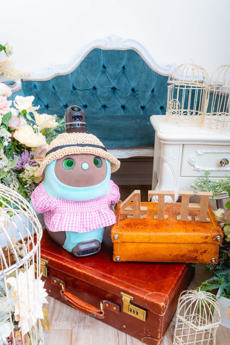 たまご🥚 tweet media