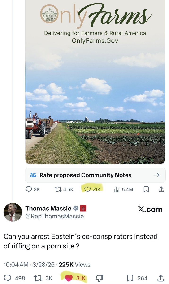 Natalie F Danelishen tweet media