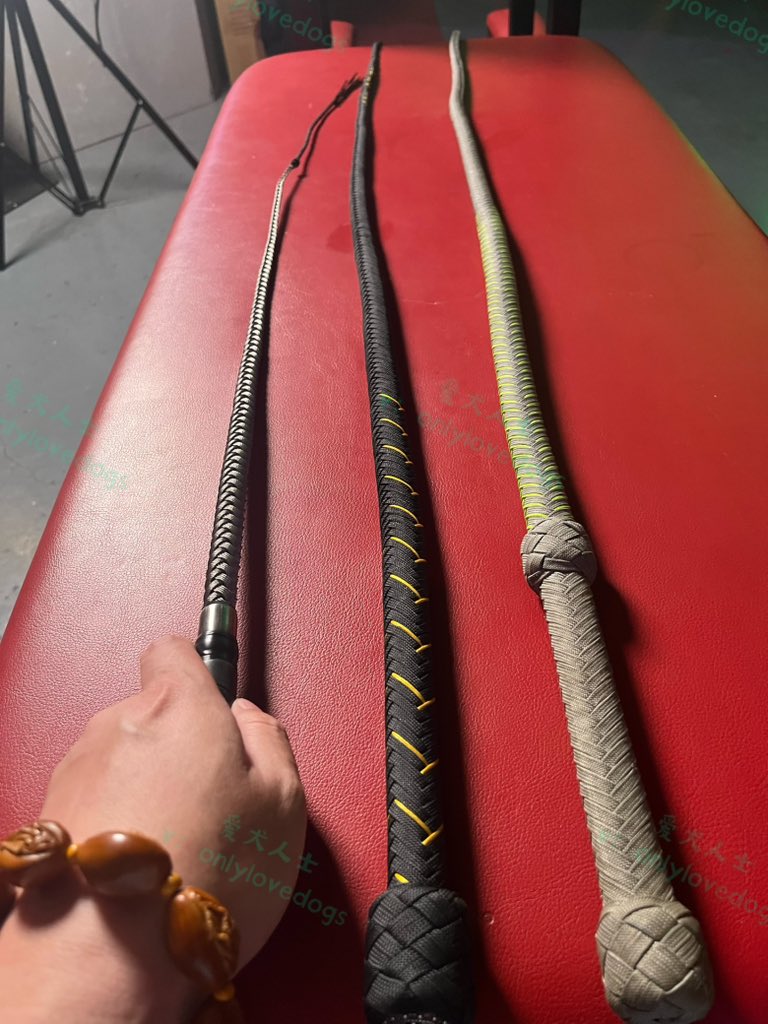 爱犬人士 tweet media