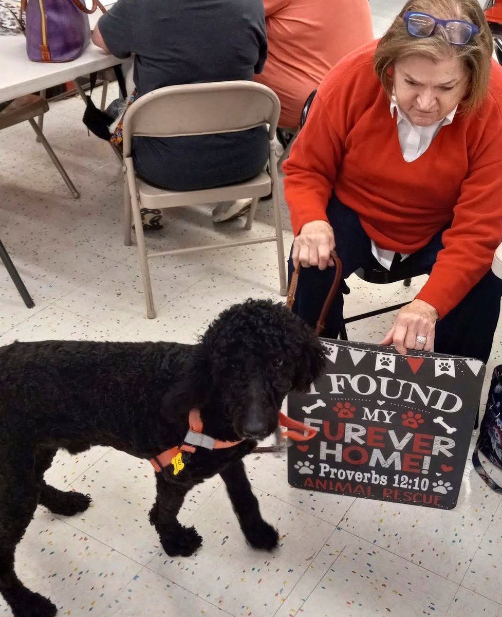 TNProverbs1210's tweet image. Parks going home!!