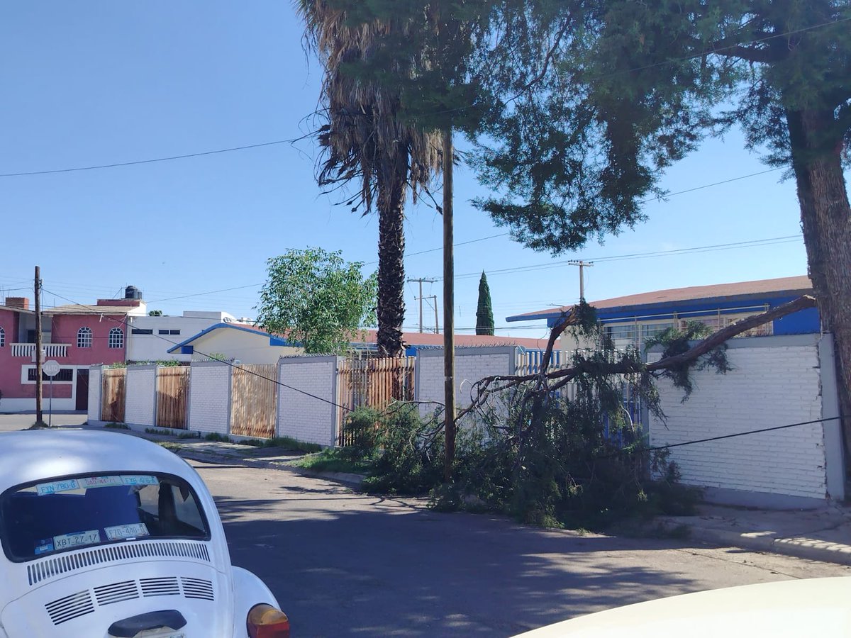 israel280874's tweet photo. @spublicos_dgo solicitamos su apoyo para atender una urgencia de un árbol que se cayó una rama muy grande y derribo unos cables a un costado de un jardín de niños. La ubicación  es en la calle Belice #109, en el Fracc. Las Américas, entre las calles Martinica y Honduras. https://t.co/OQgkTDbEt1