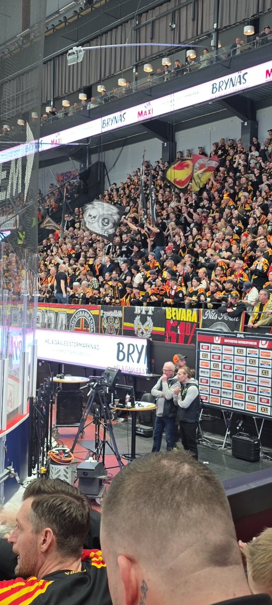 Alexander tweet media