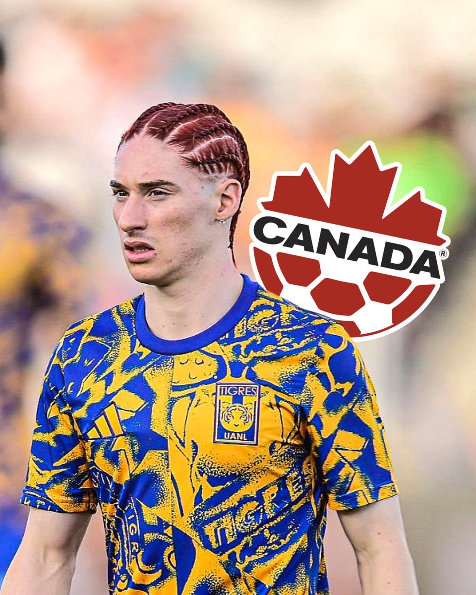 dataref México tweet media