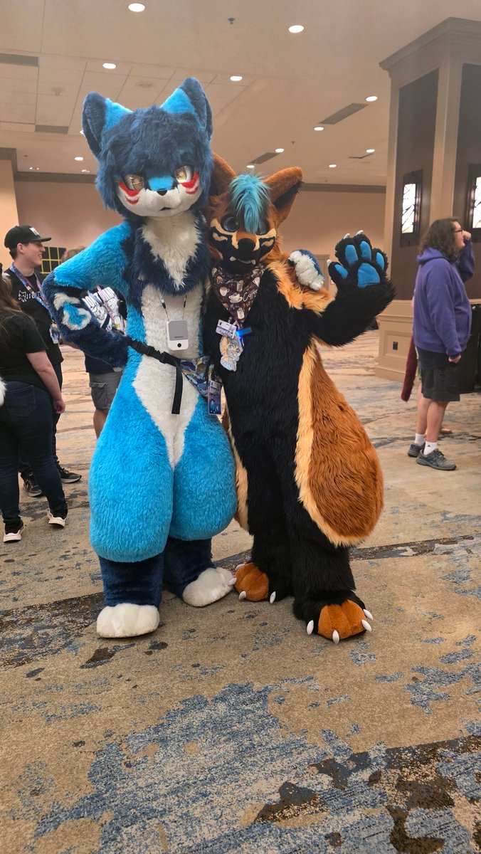 Nau Wusky 🔜 TFF tweet media