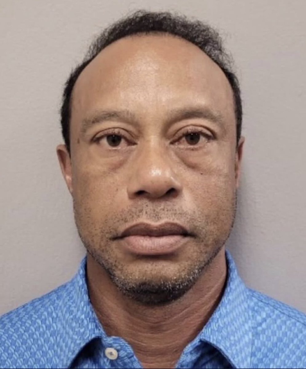 Tommy “The Second Wind”Calzonie tweet media