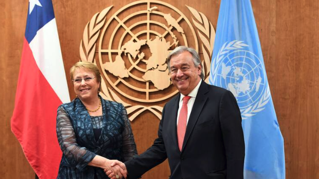 Página19 tweet media