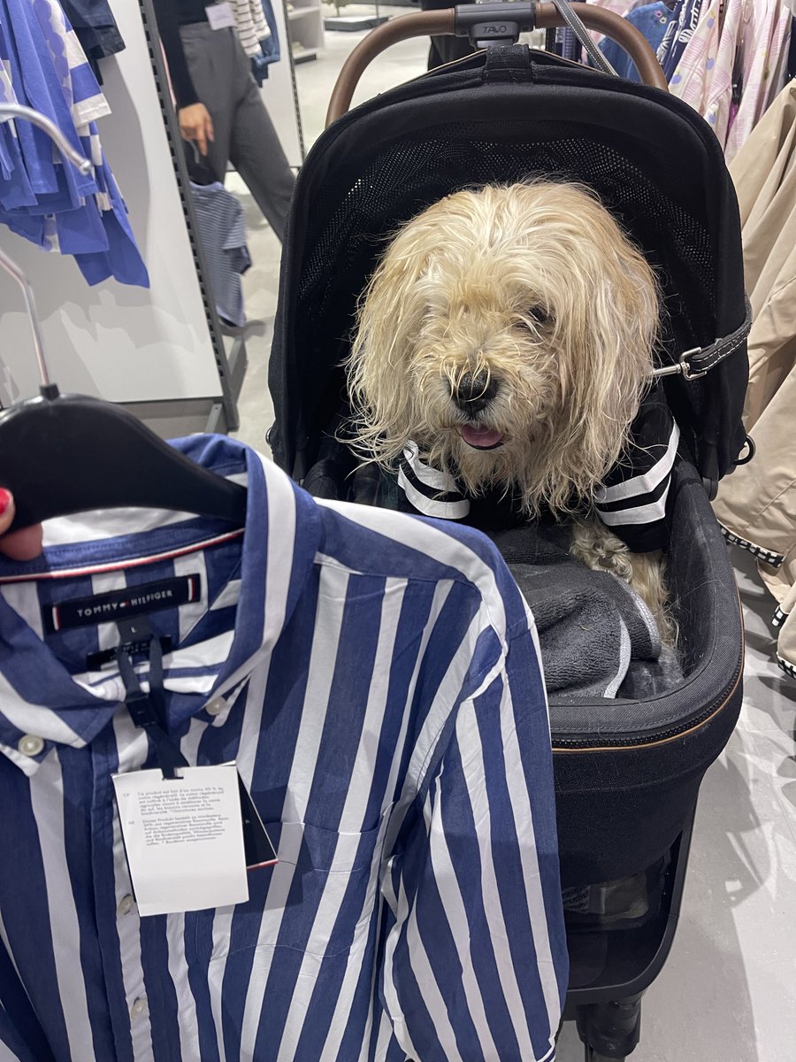 Lord Alfred’s Diary tweet media