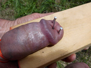 マリコ様 tweet media