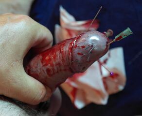 マリコ様 tweet media