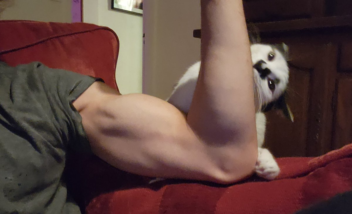 luckiest alive tweet media