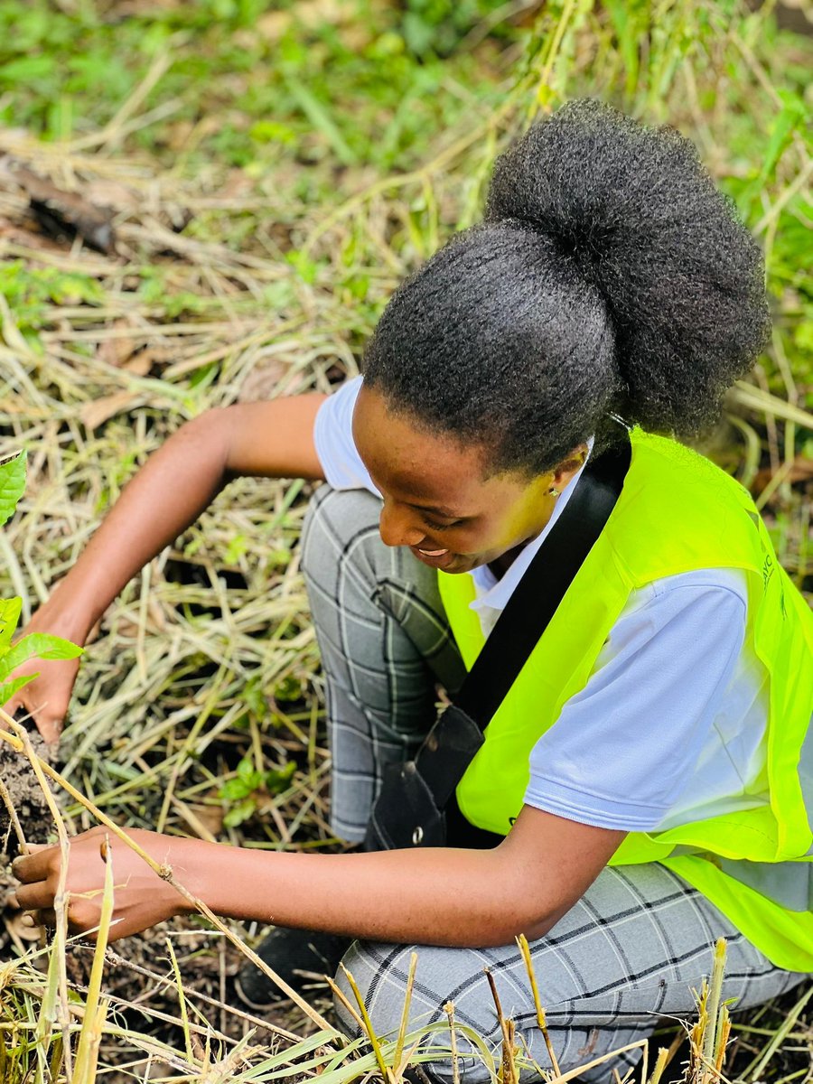 Faithdallen's tweet photo. I made sure I planted more than 5 trees.
If you were around,how many would you plant?
#restoringlazarus
#InternationalDayofForests #ClimateAction https://t.co/D9mRmi5KuH