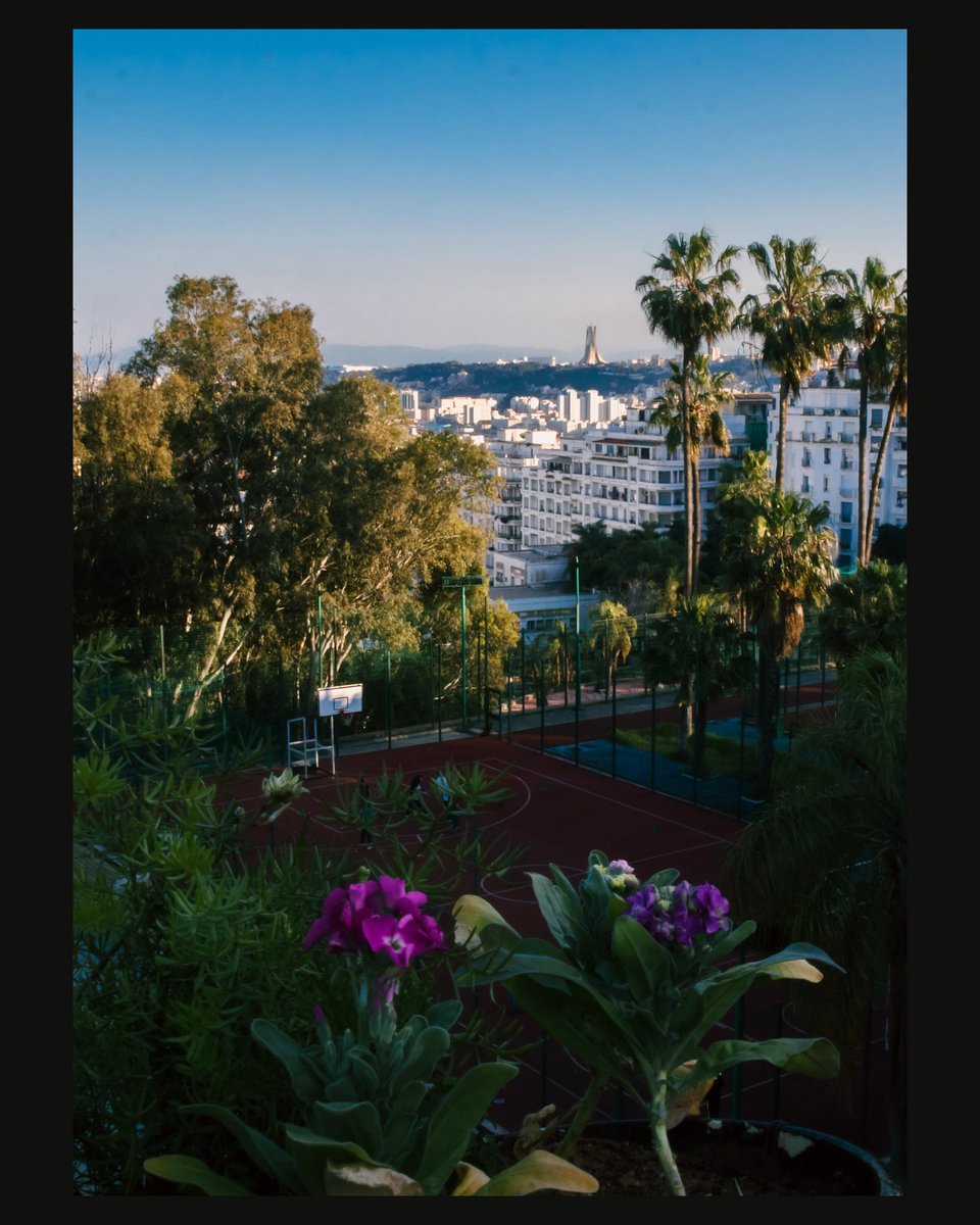 أكرم tweet media