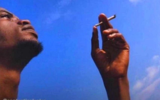 Broke & Zero Aura (BZA)🍁 tweet media