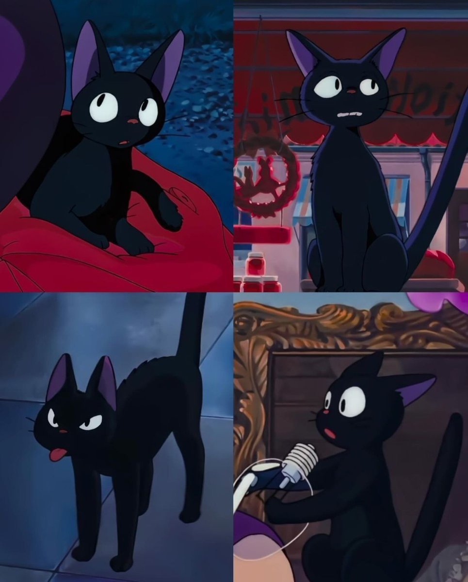 Nature Videos tweet media