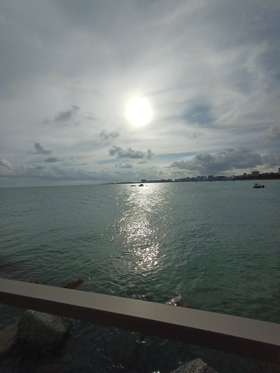 Calopsita de sutiã tweet media