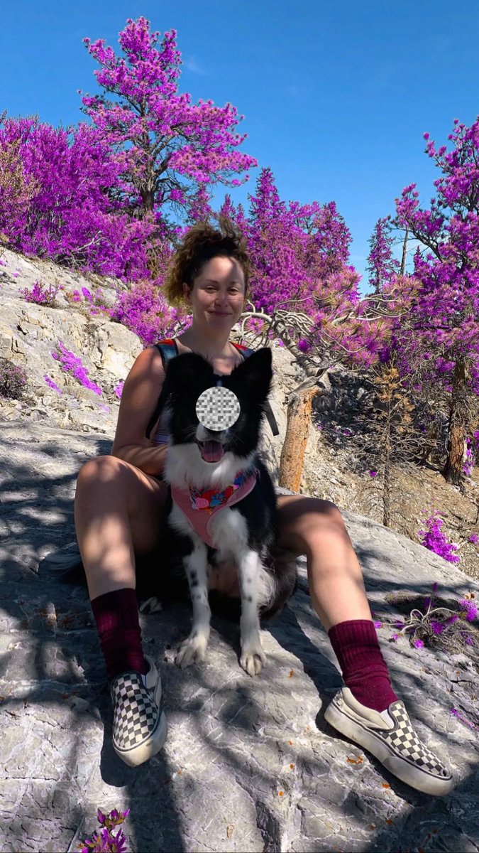 i Report Racism & Child Crimes tweet media