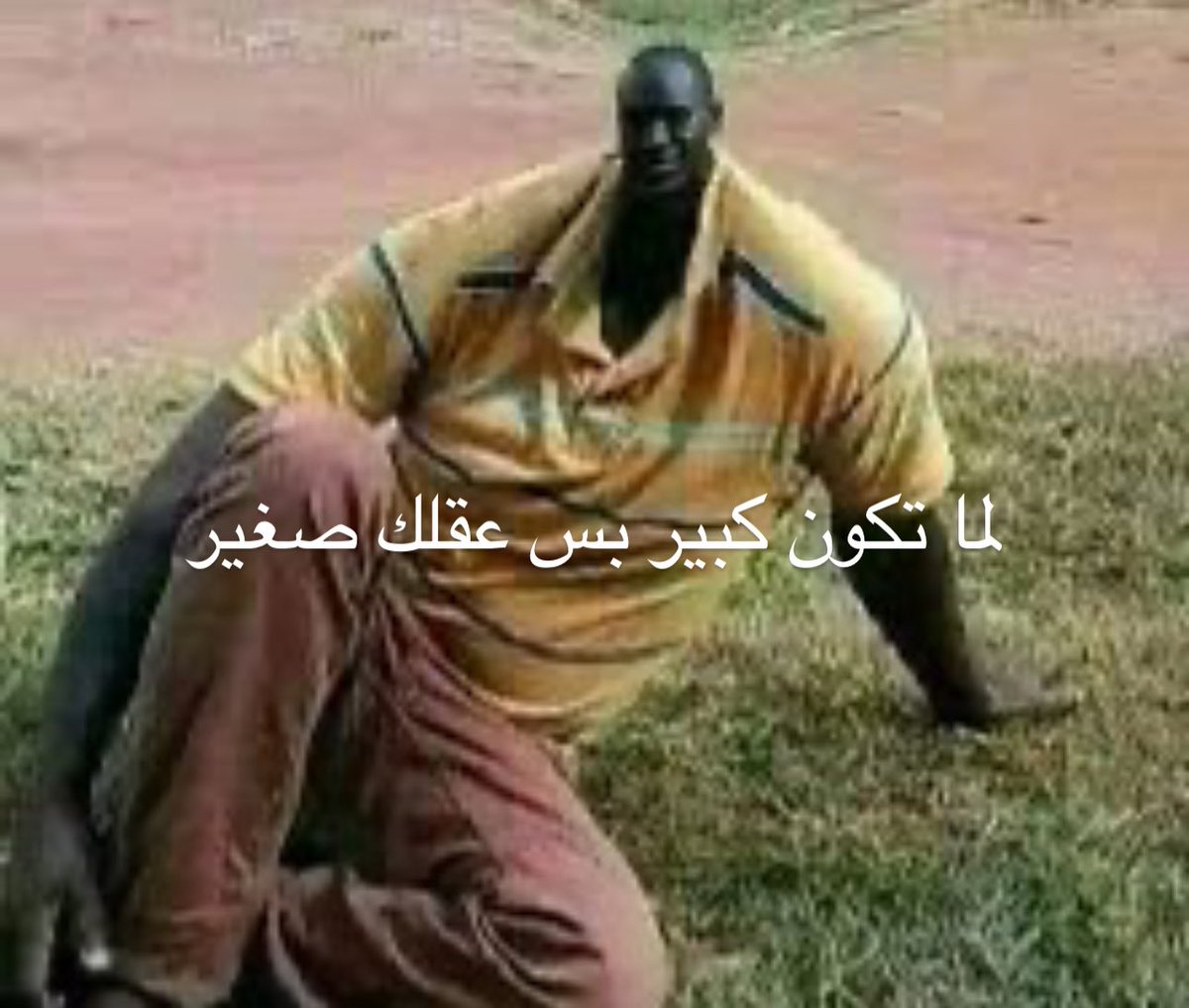 سلطانه tweet media