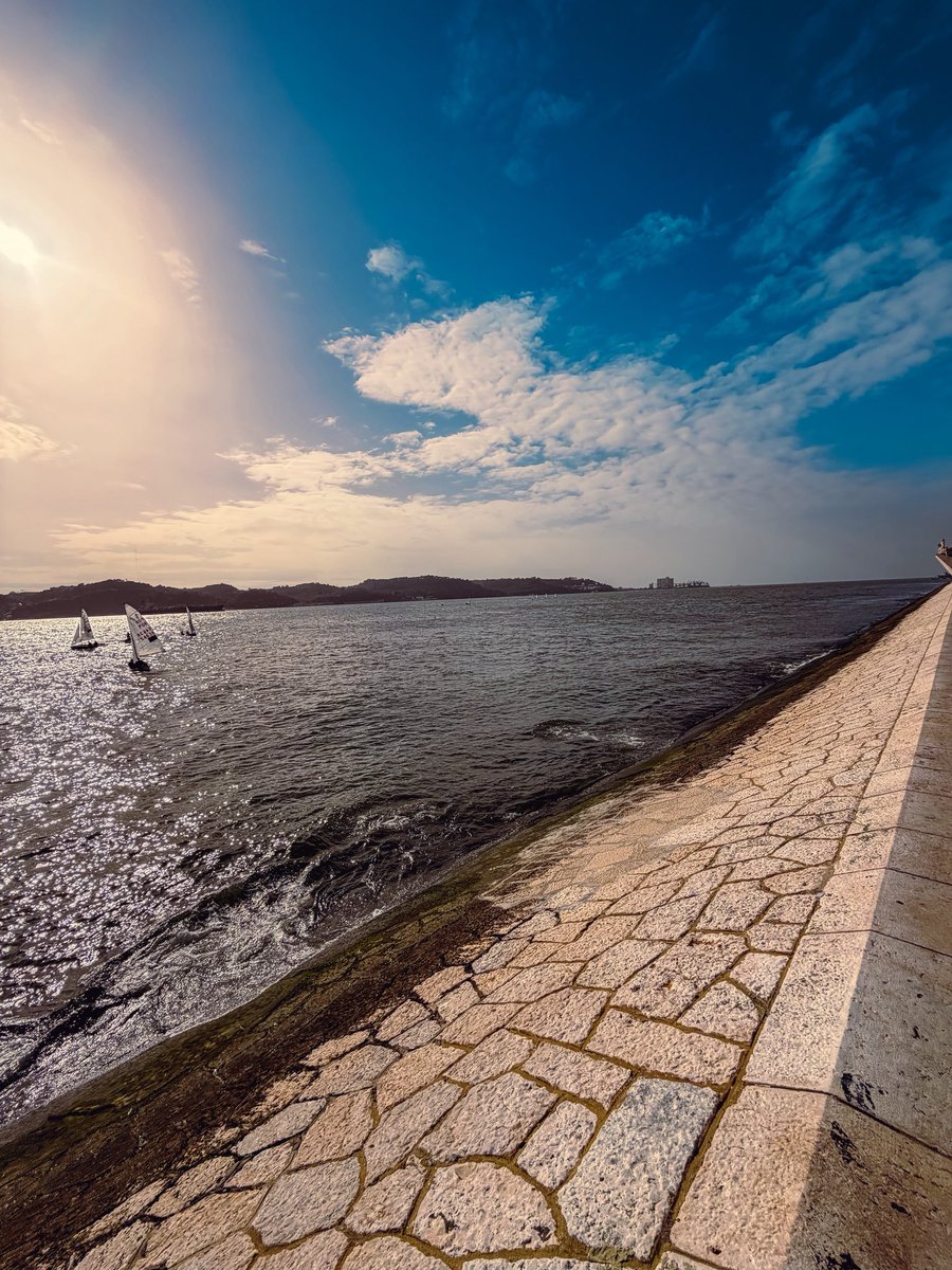 juliocmsj tweet media