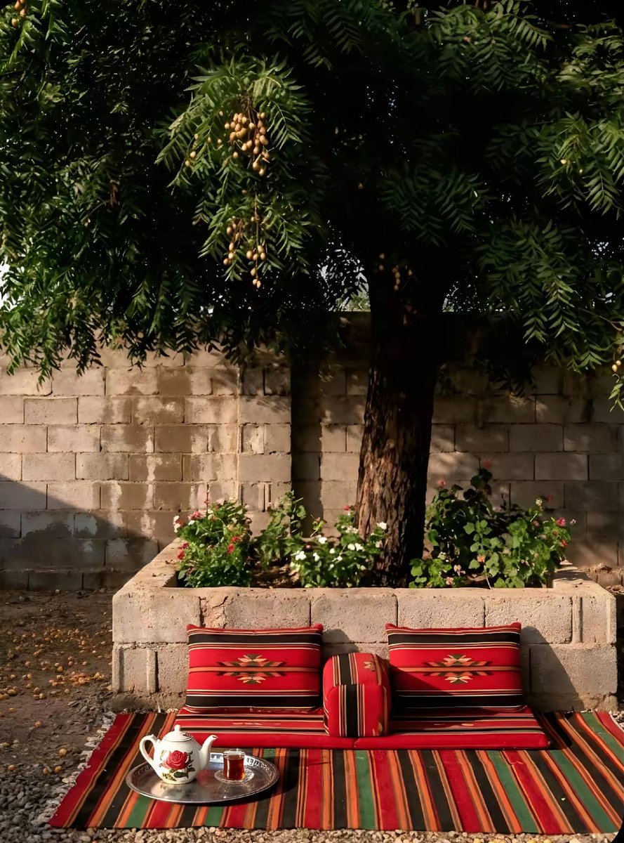 سيفّ tweet media