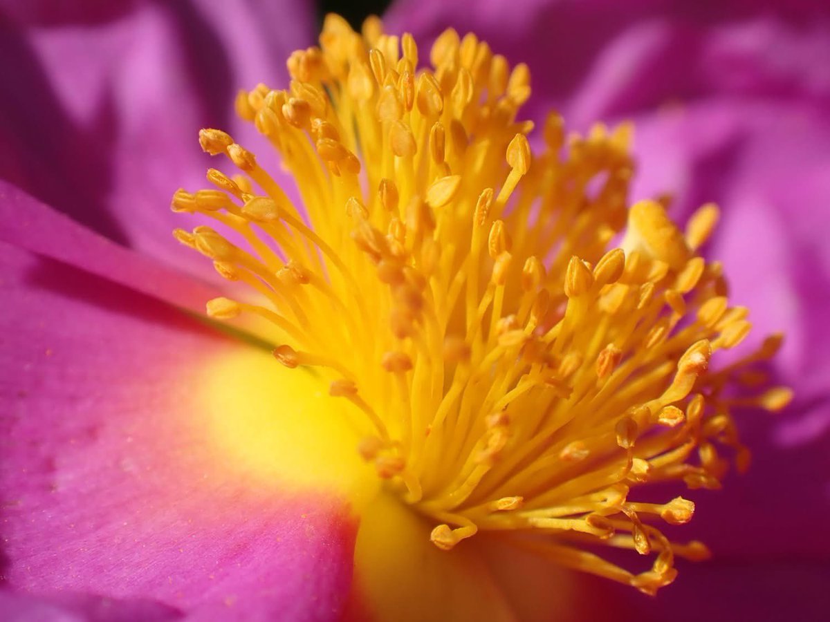 Caro Clem 🪸🌊⛵️ tweet media