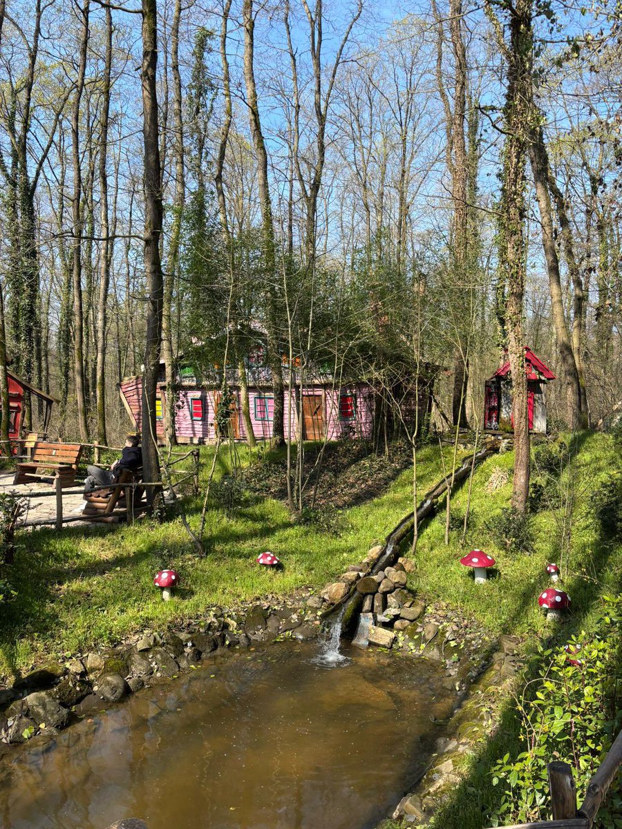 AK Gençlik Ümraniye tweet media