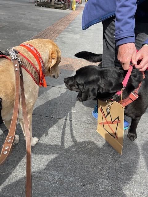 The Bulwark tweet media