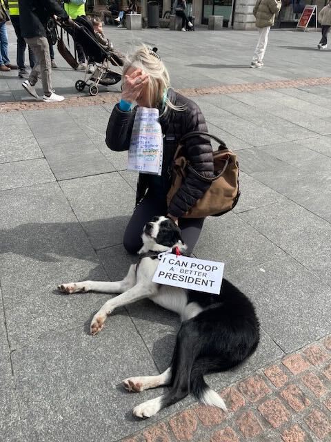 The Bulwark tweet media