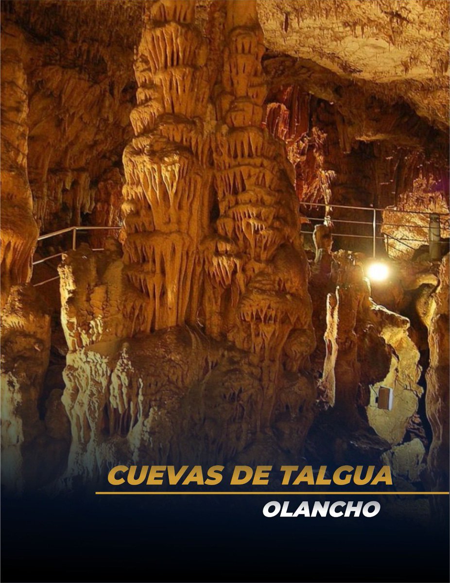 Congreso Nacional de Honduras tweet media