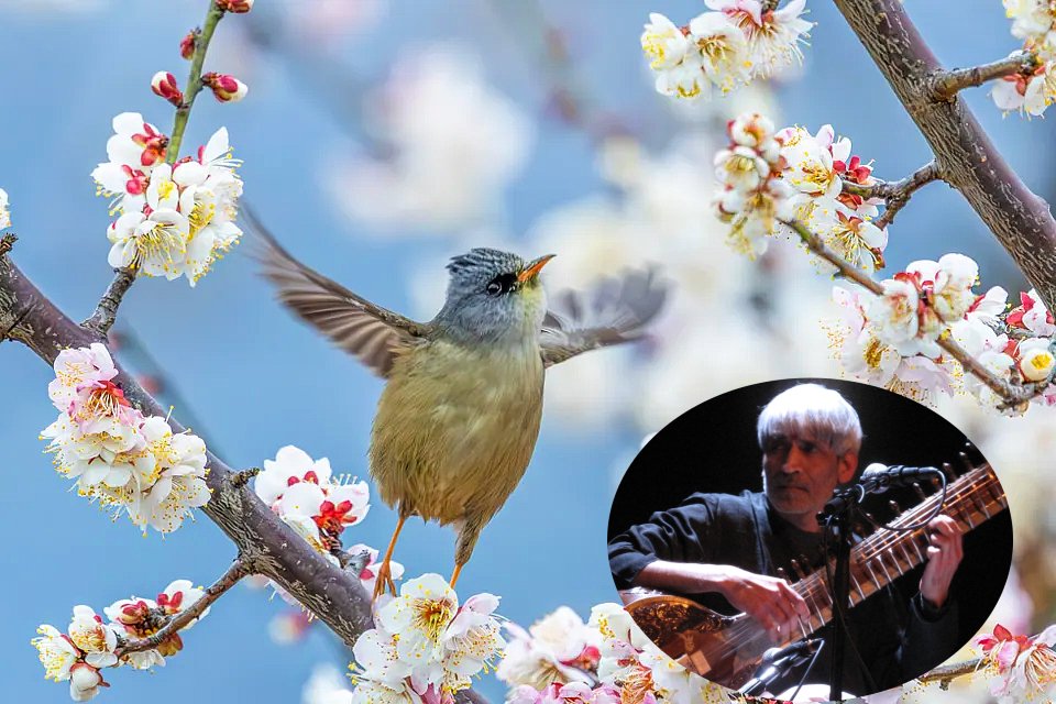 ajit singh tweet media